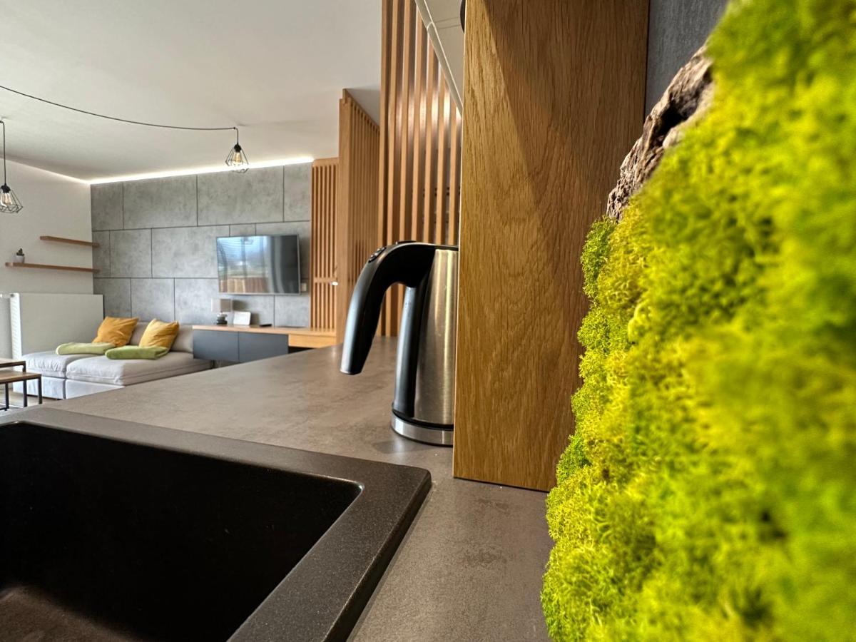 Ahava Apartments コウォブジェク エクステリア 写真